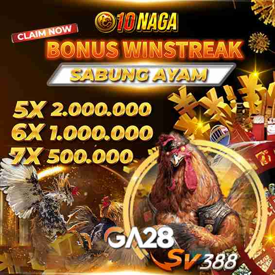 10NAGA